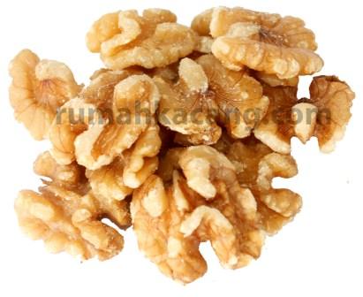 walnut